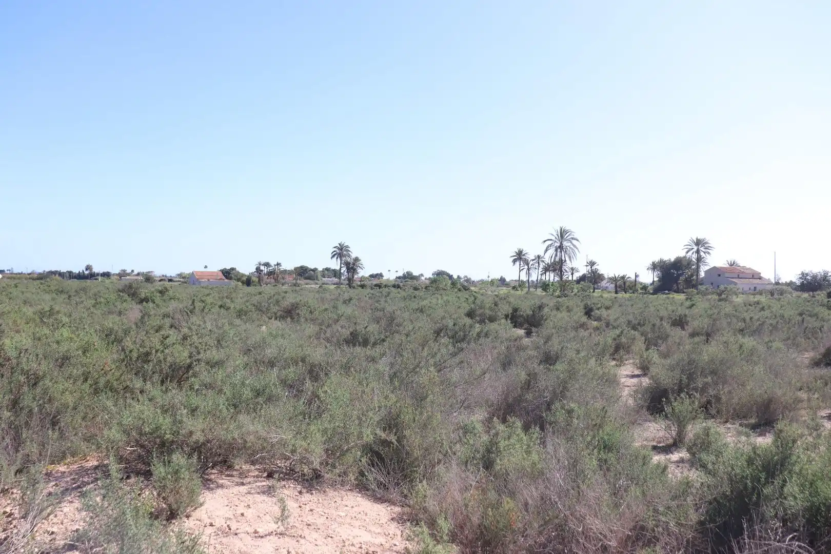 Grundstücke zum Verkauf in Elche / Elx