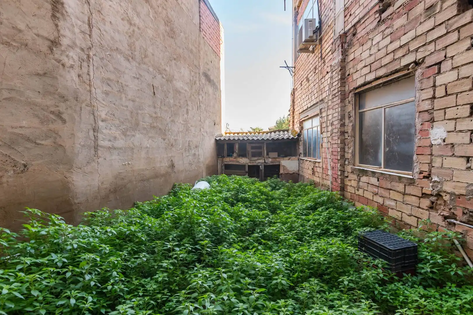 Jardín de Planta baja en venta en Murcia