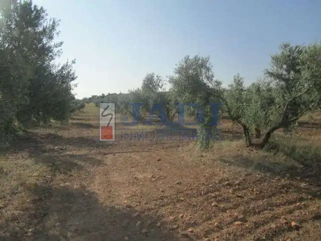 Casa rústica en venda a Valdepeñas, imagen 6
