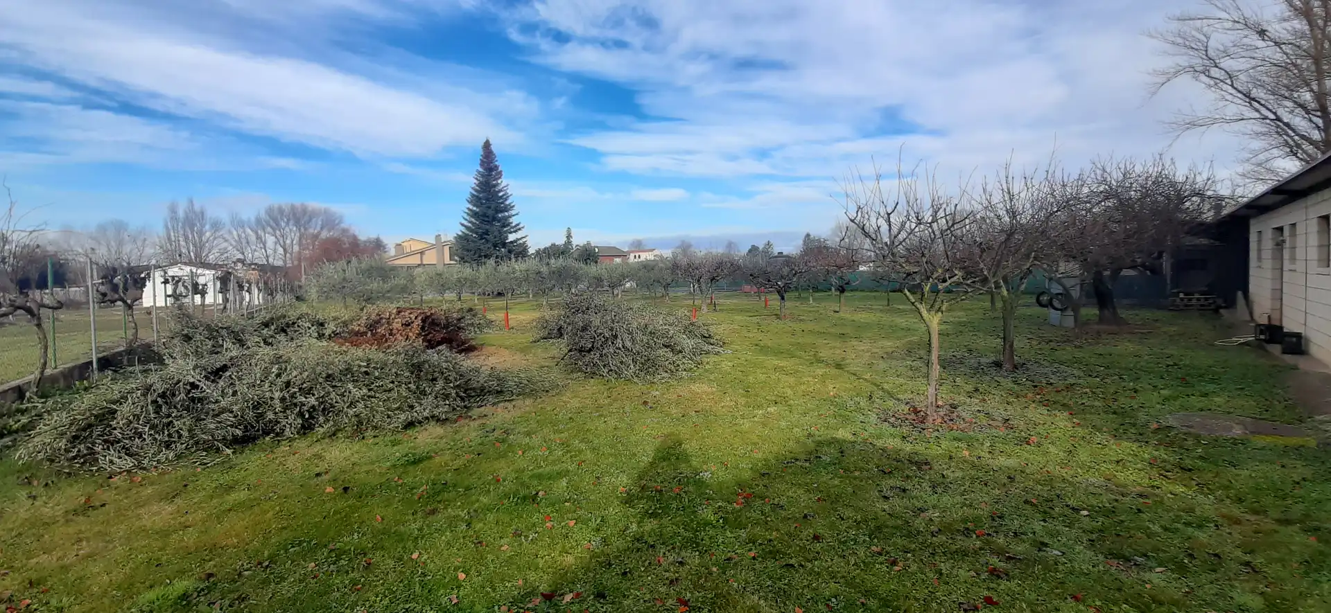 Xalet amb piscina en venda a Camino Viejo de Logroño, imagen 6
