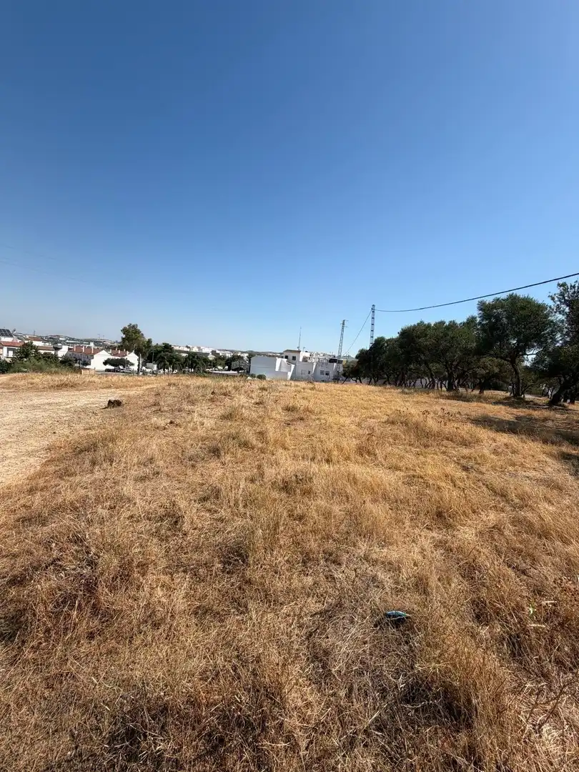 Terreno rustico in vendita a Morón de la Frontera