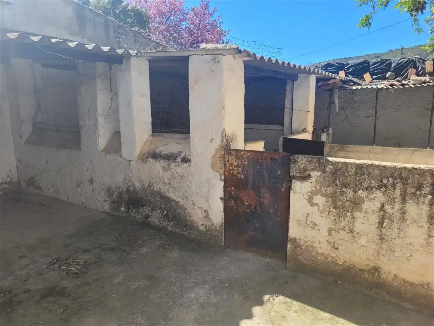 Vista exterior de Finca rústica en venda en Ronda amb Piscina