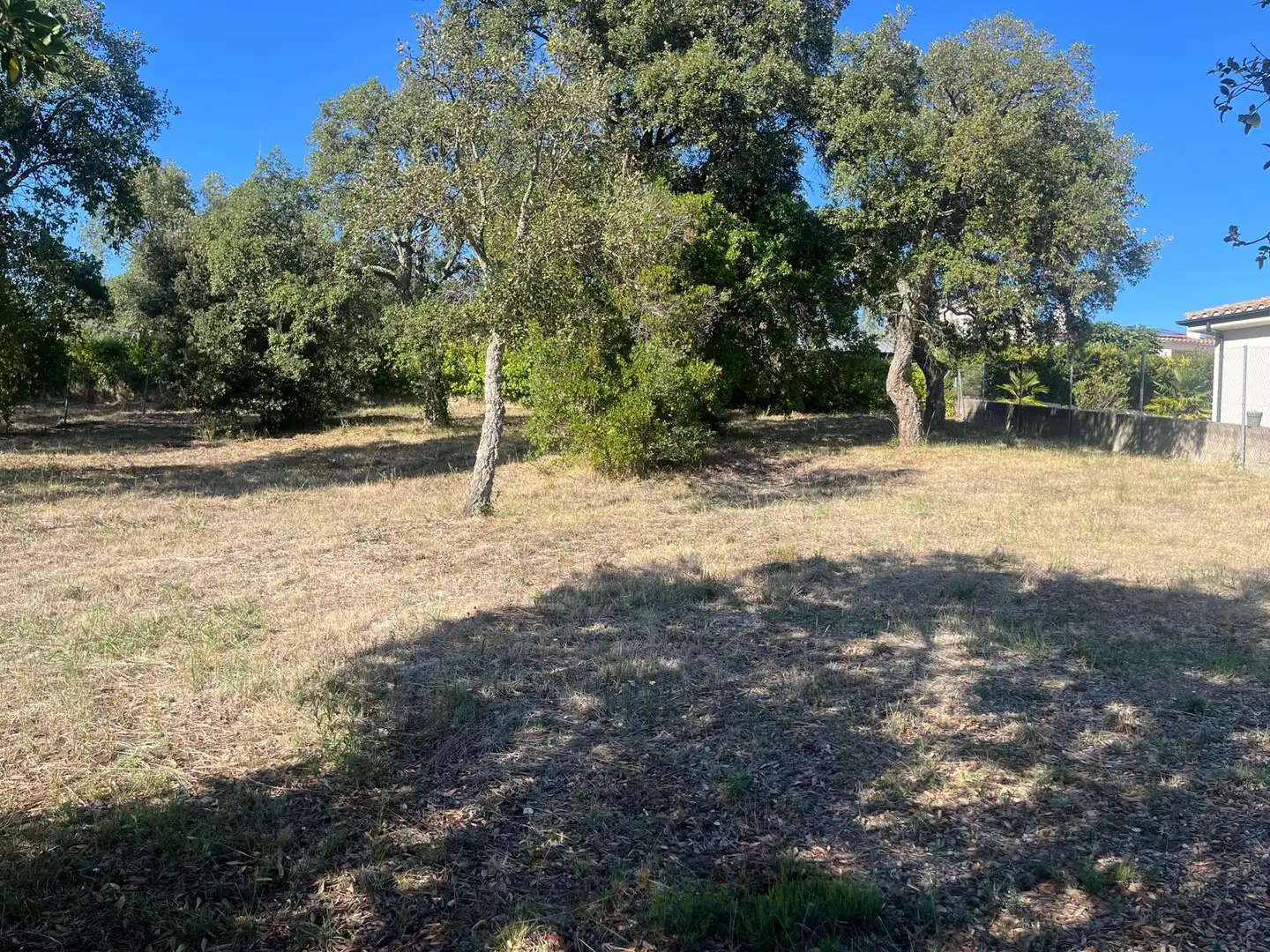 Terreny residencial en venda a Carrer Pla de l'Estany 3, imagen 3