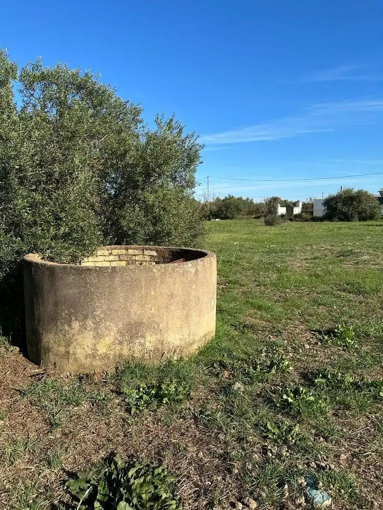 Terreny rústic en venda a Pedanías Norte, imagen 15