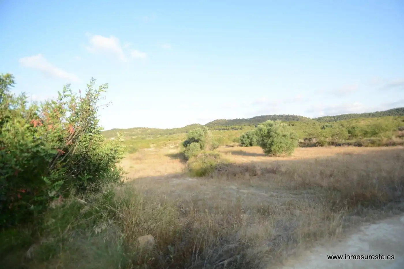 Terreno rústico en venta en Desamparados - Hurchillo - Torremendo, imagen 12