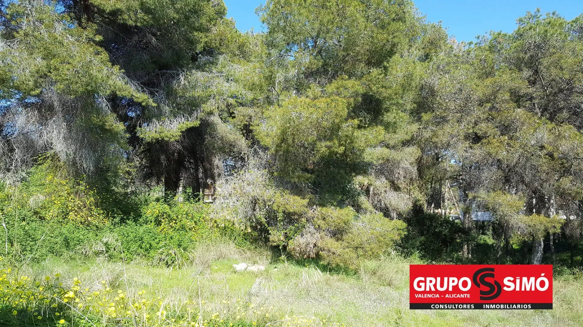 Wohnbaugrundstück zum Verkauf in El Vedat - Santa Apolonia, imagen 4
