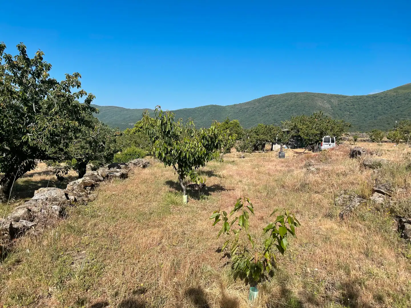 Terreni e lotti in vendita a Garganta la Olla, imagen 14