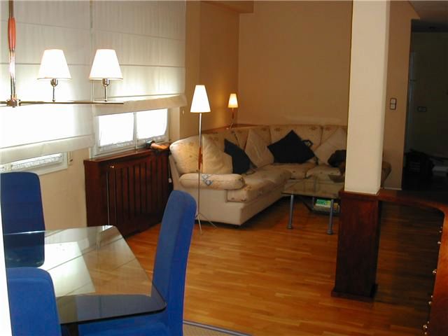 Sala d'estar de Pis de lloguer en  Zaragoza Capital amb Calefacció, Parquet i Moblat