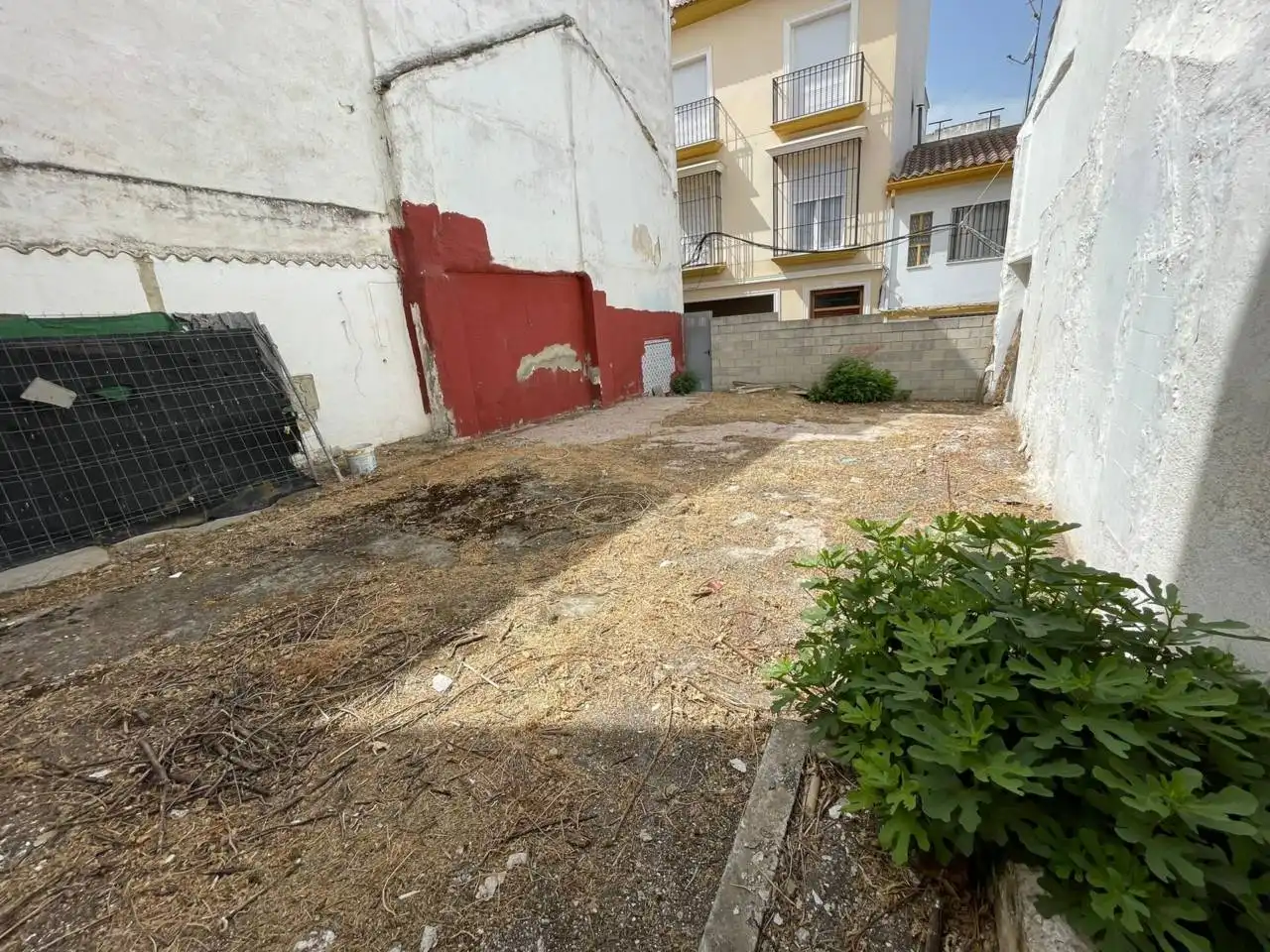Terreno rustico in vendita a Calle mimbron 18