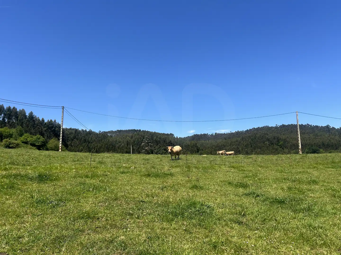 Terreni e lotti in vendita a Pillarno, imagen 6