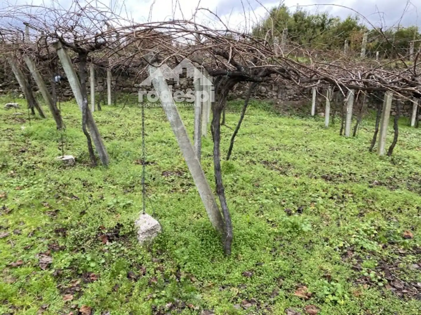 Terreny rústic en venda a A Cañiza, imagen 19