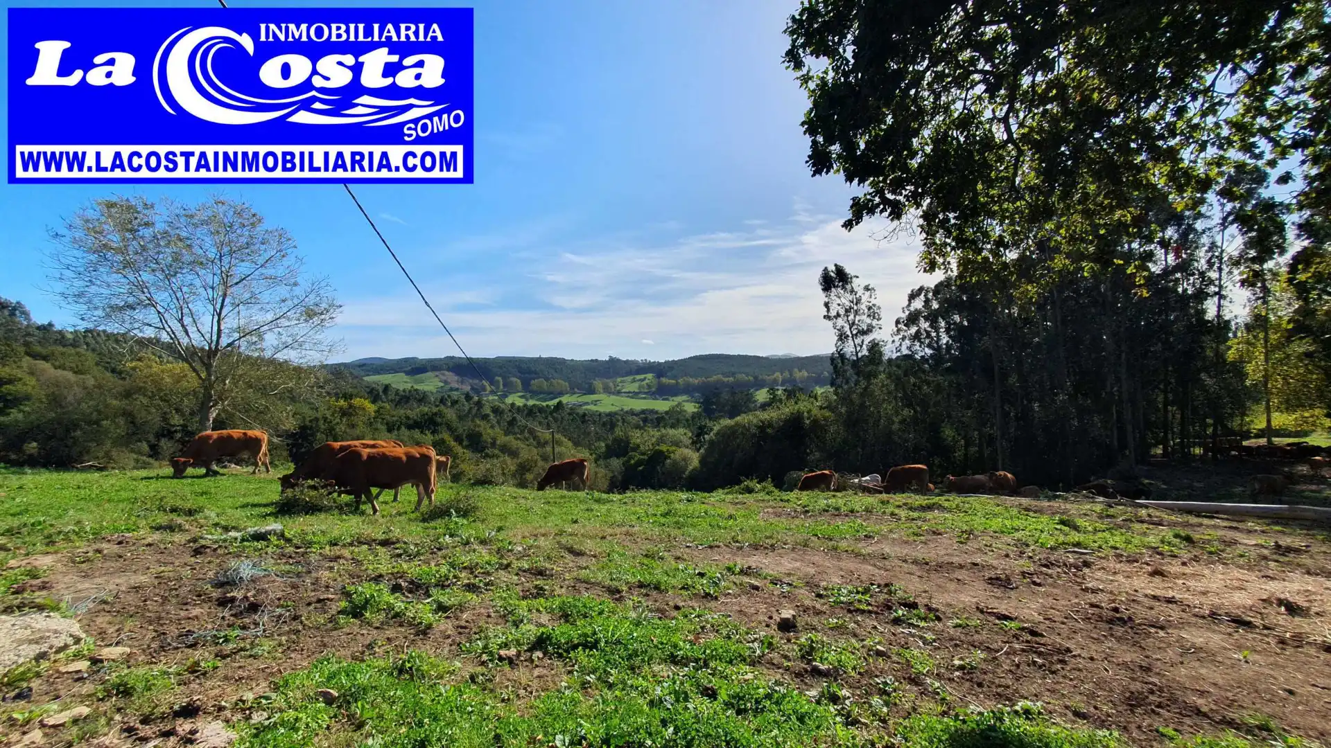 Residential for sale in Ribamontán al Mar