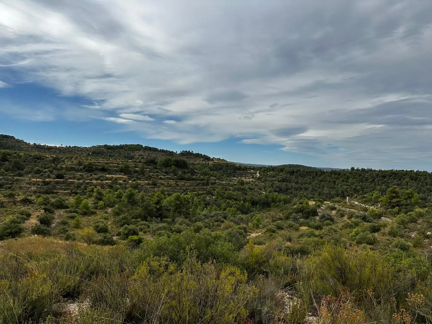 Terreny rústic en venda a Cervià de Les Garrigues, imagen 12