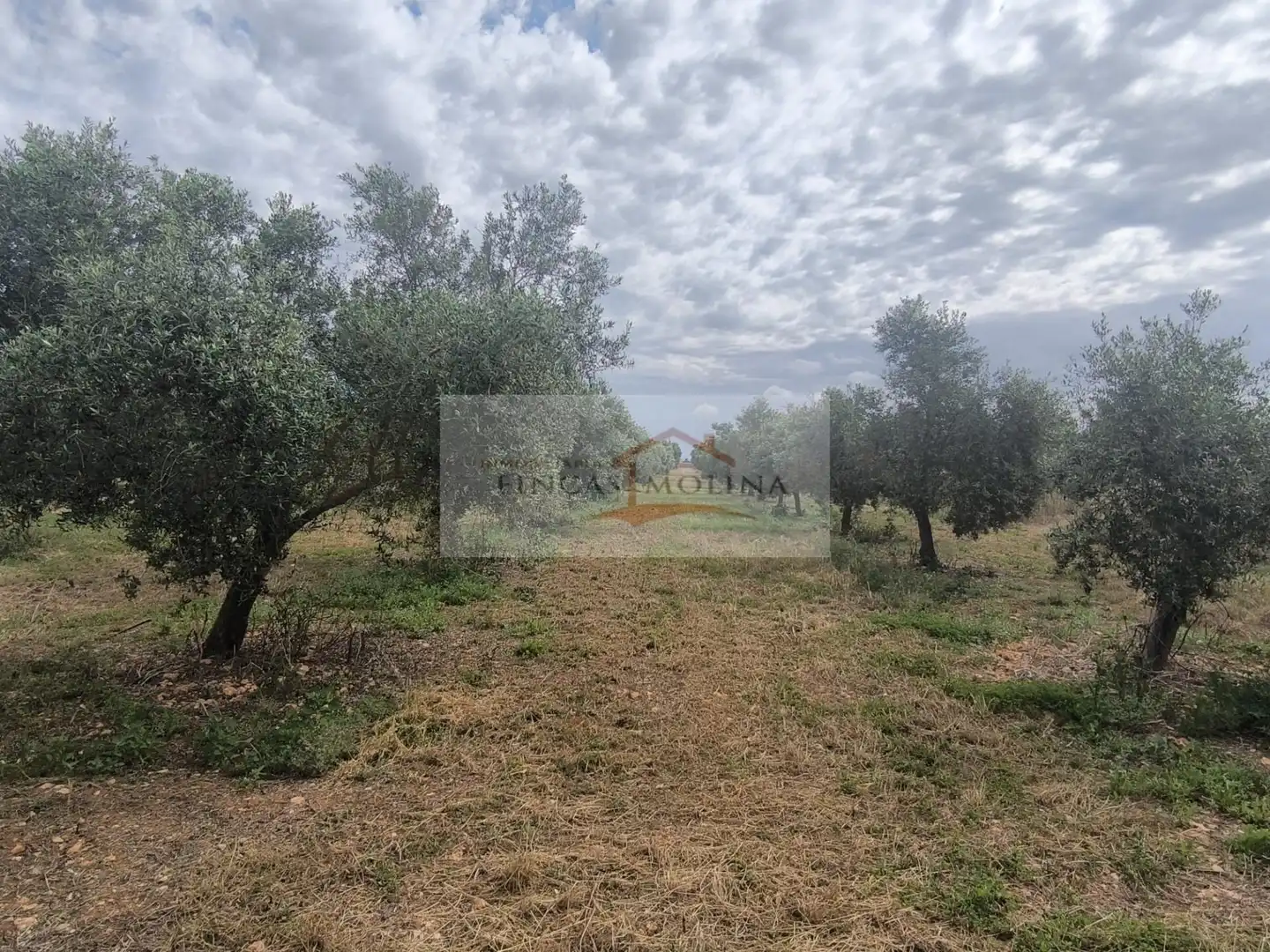 Terrenys i solars en venda a Sa Pobla, imagen 19