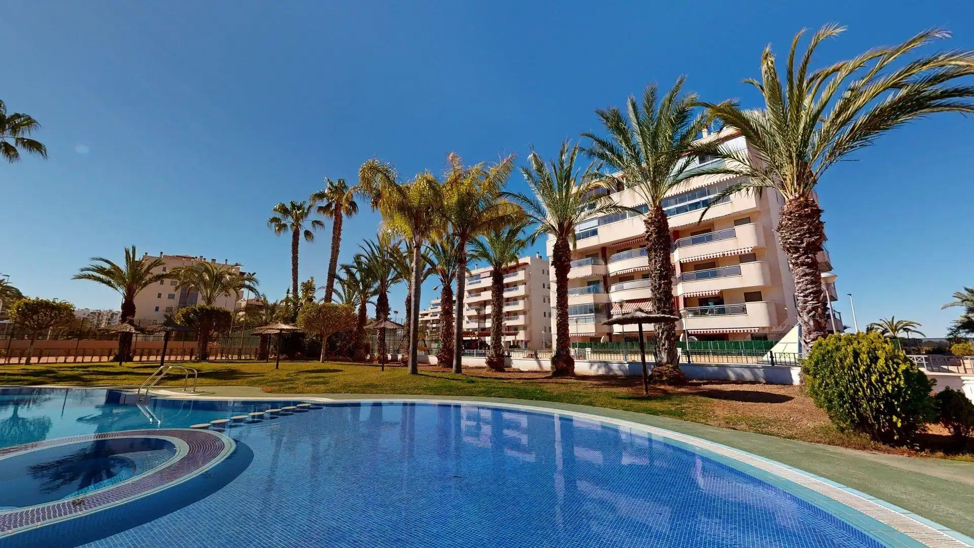 Swimming pool of Apartments for rent in Elche / Elx  with Air Conditioner, Heating and Private garden