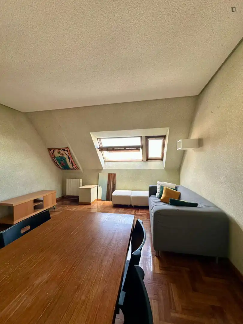 Sala d'estar de Apartament de lloguer en Madrid amb Calefacció, Moblat i Forn