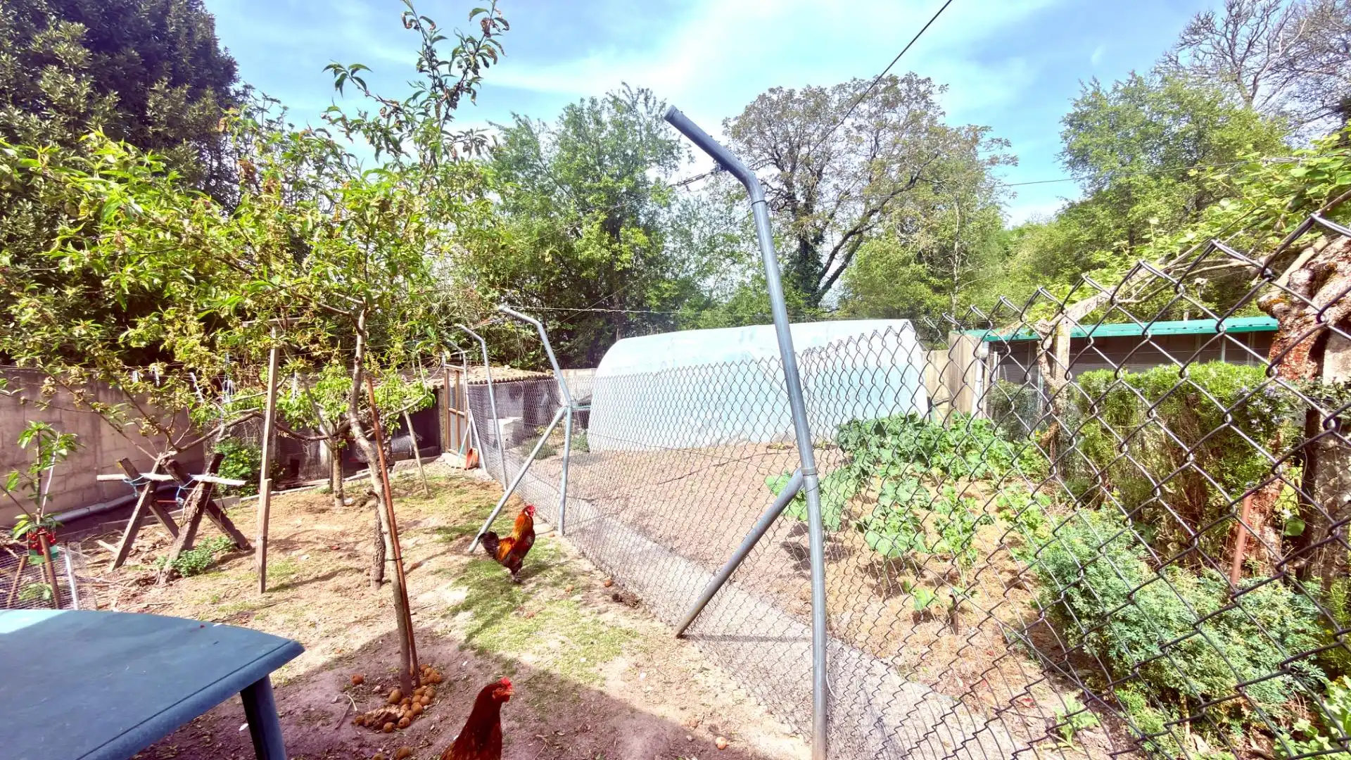 Garden of Houses for sale in Esgos  with Private garden, Parquet flooring and Furnished
