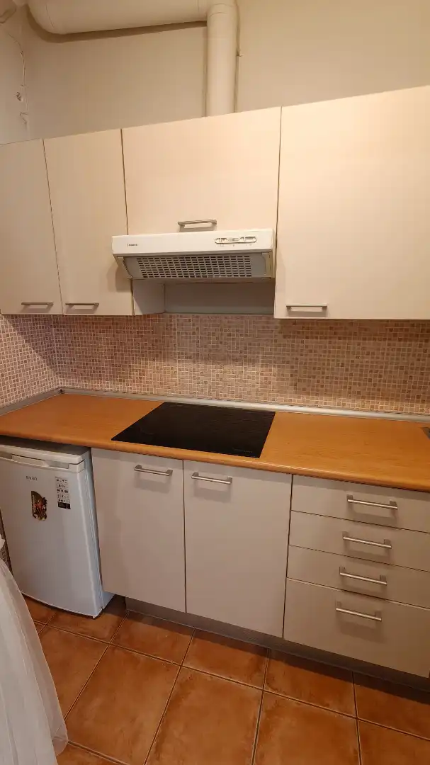 Cuina de Apartament de lloguer en Manresa amb Moblat