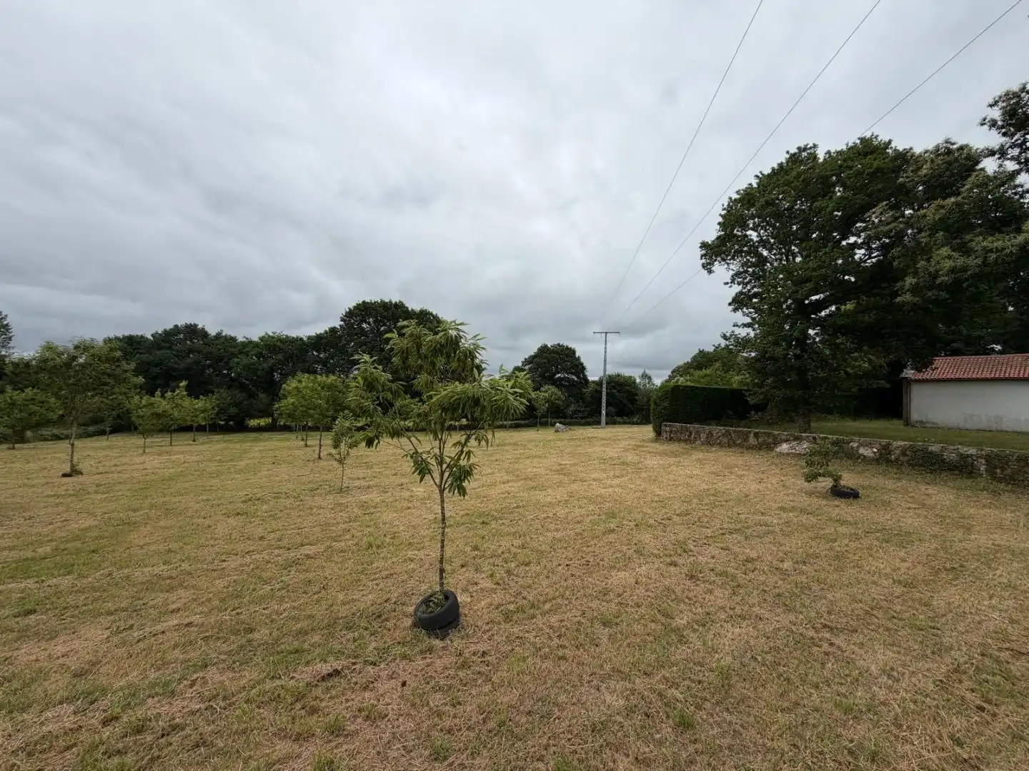 Residential for sale in Curtis
