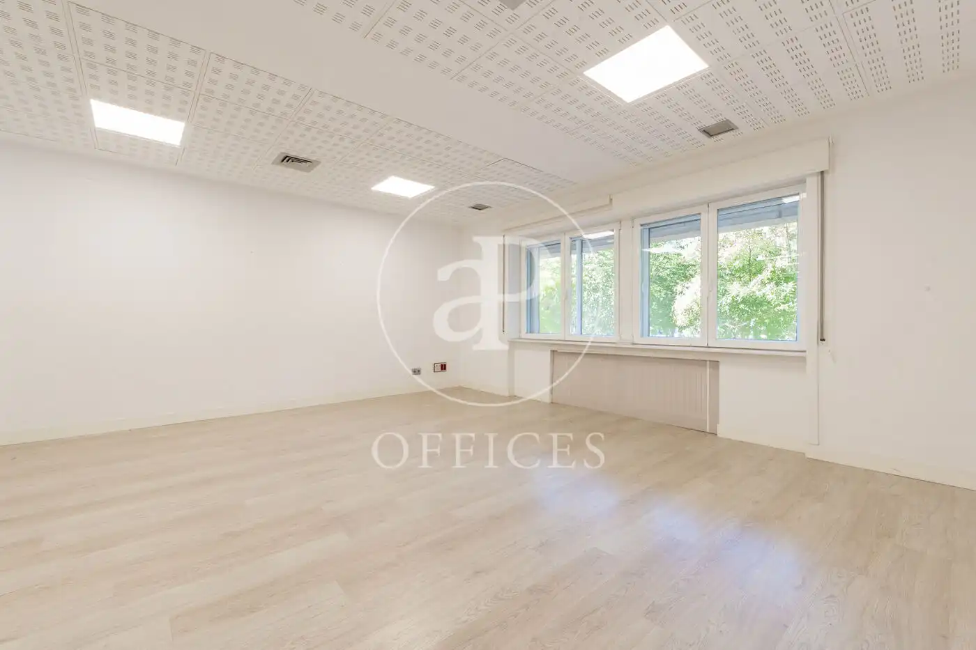 Office for rent in P.º de la Castellana, Castellana