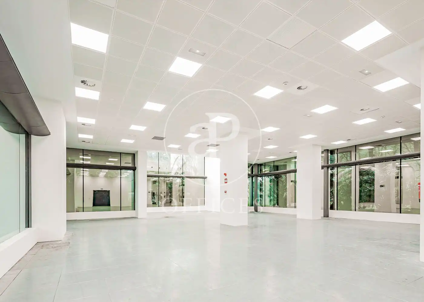 Büro mit Aufzug zur Miete in C. del Eucalipto, imagen 2