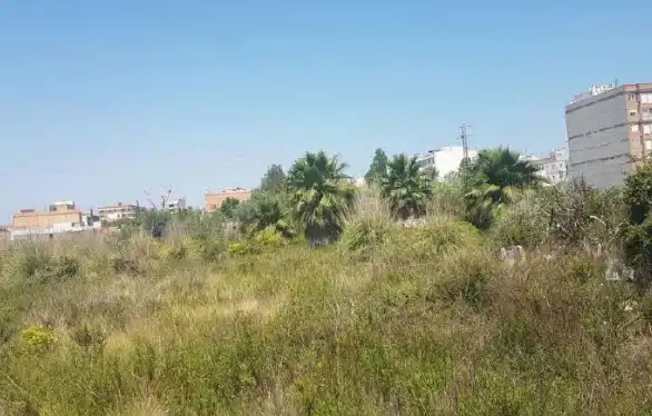 Rural land for sale in Sueca ciudad, imagen 2