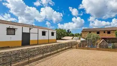 Terreno residencial en venta en Arcos de la Frontera, imagen 4