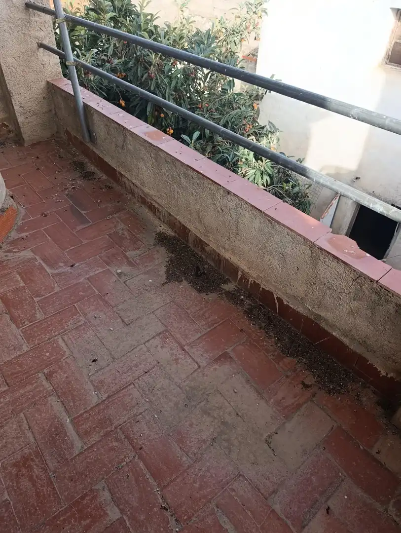 Maison rustique à vendre à Calle CALVARIO 24, imagen 12