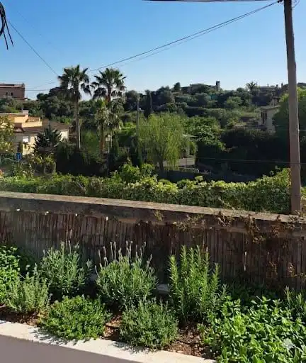 Jardín de Casa o chalet en venta en Calvià con Aire acondicionado, Terraza y Trastero
