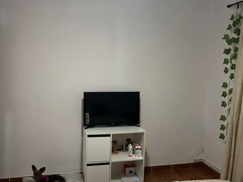 Sala d'estar de Casa o xalet en venda en Cogolludo amb Jardí privat i Traster