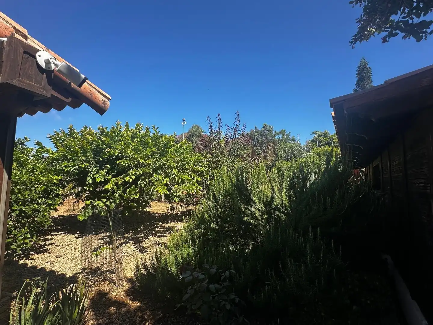 Casa o xalet en venda en San Miguel de Abona amb Jardí privat, Traster i Piscina