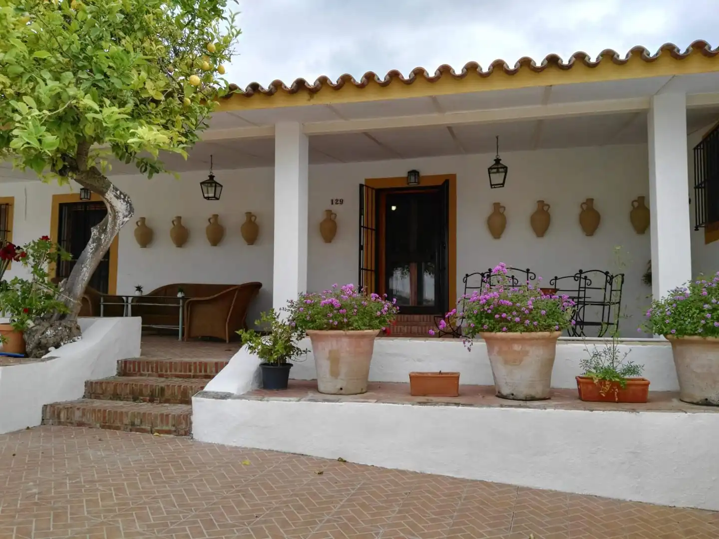 Jardí de Finca rústica en venda en Arcos de la Frontera amb Jardí privat i Piscina comunitària