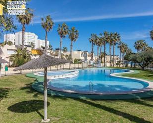 Swimming pool of Flat to rent in Alicante / Alacant  with Terrace