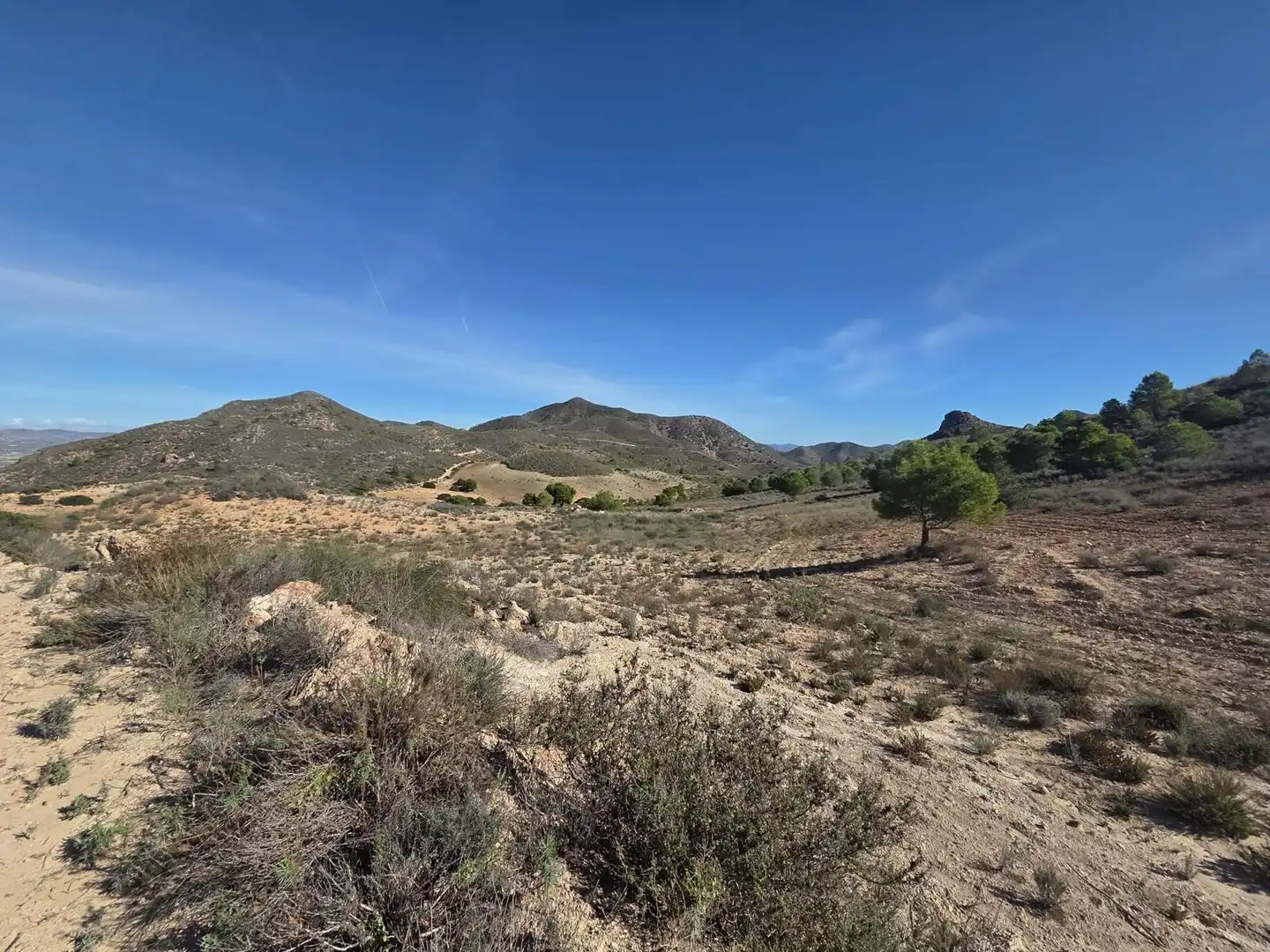 Lands and plots for sale in Diputación de Vizcaino, imagen 11