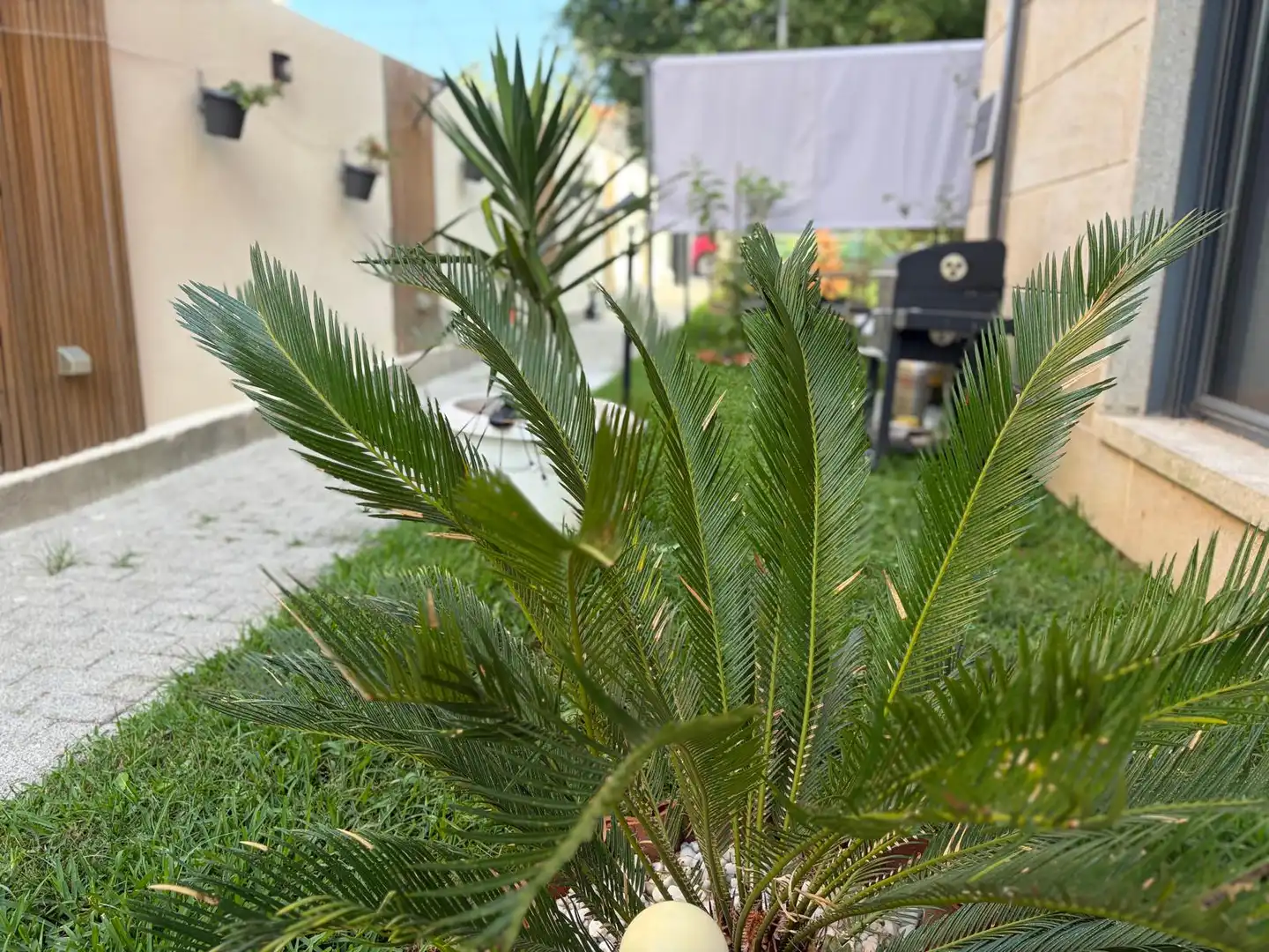 Casa aparellada amb terrassa en venda a Ponteareas, imagen 53