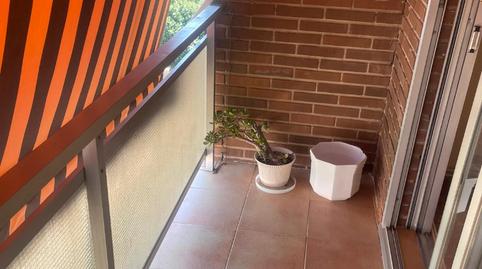 Foto 3 de Pis de lloguer a Calle de Pedrera Baja, Plaza de Toros, Ciudad Real