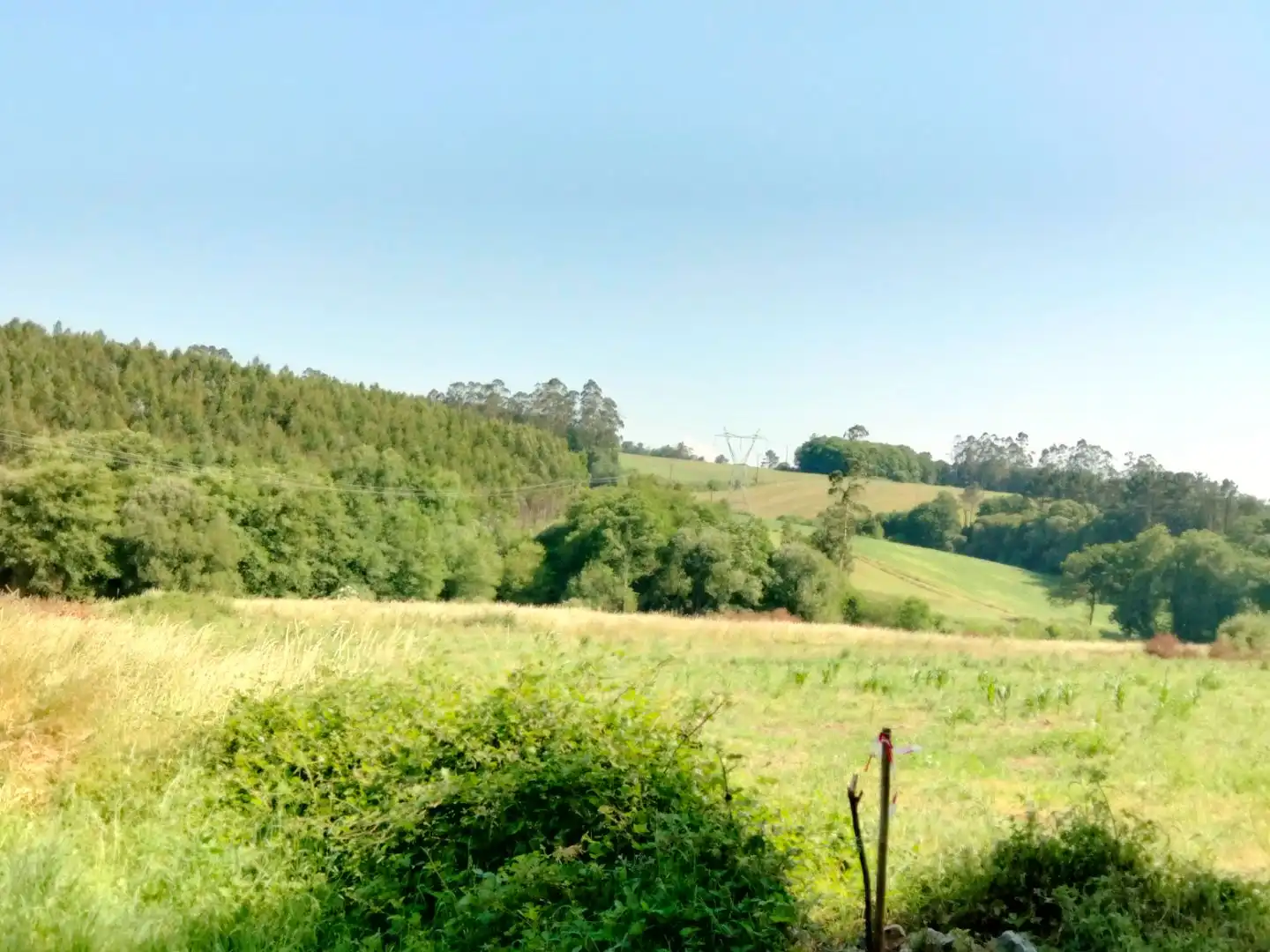 Grundstücke zum Verkauf in Frades