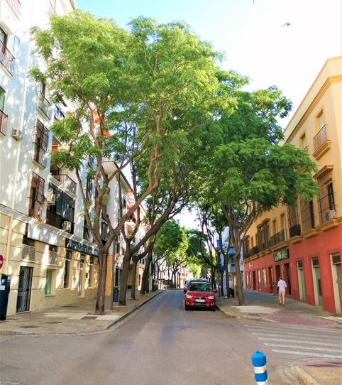 Photo 2 of Flat to rent in Calle Santo Domingo, 1, Divina Pastora - La Yeguada, Jerez de la Frontera