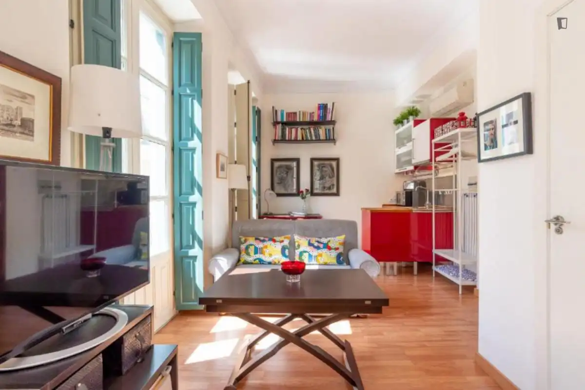 Home to rent in Centro
