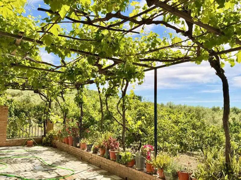 Terraza de Casa o chalet en venta en Alfarnatejo