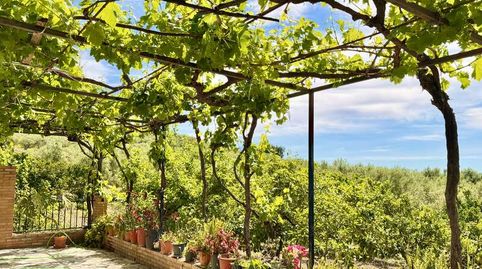 Foto 5 de Casa o chalet en venta en Ma-4102, 1, Alfarnatejo, Málaga