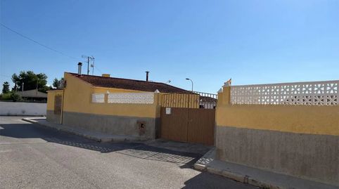 Foto 5 de Finca rústica en venda a Carrer Catalan, 6, Crevillent, Alicante