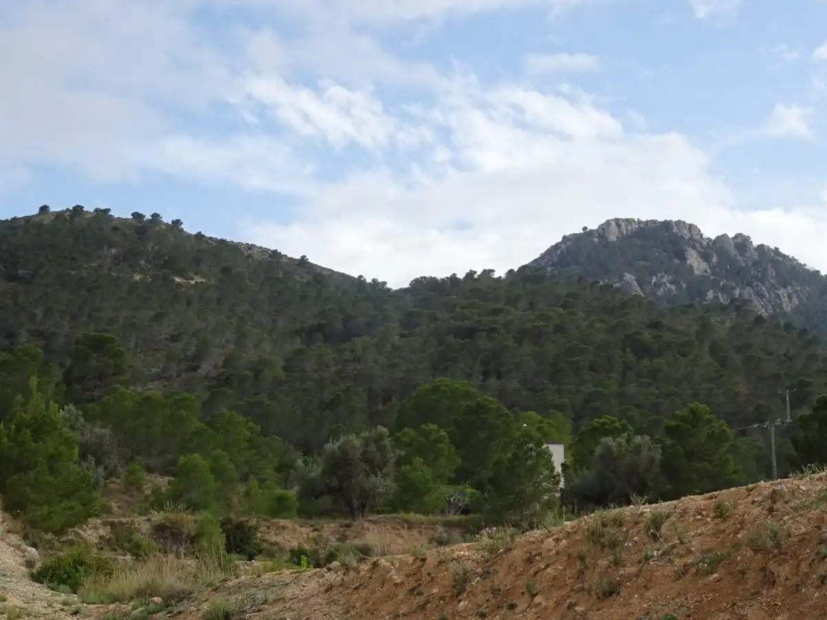 Finca rústica en venda en Hondón de las Nieves / El Fondó de les Neus