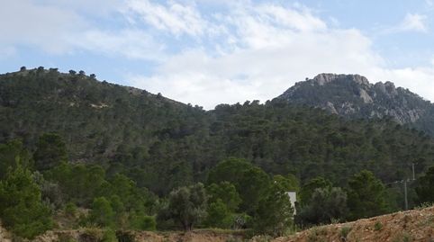 Photo 4 of Country homes for sale in Hondón de las Nieves / El Fondó de les Neus, Alicante