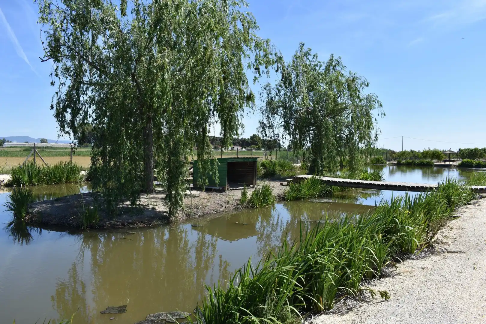 Casa rústica amb piscina en venda a Eucaliptus- Poble Nou del Delta