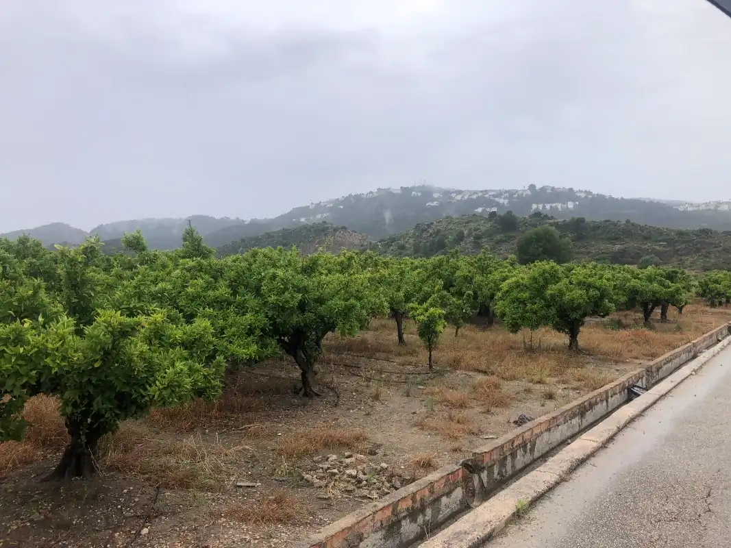 Terreny rústic en venda a Castelló de Rugat, imagen 11