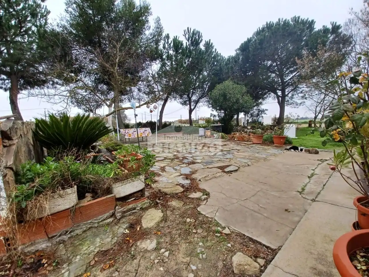 Xalet amb jardí en venda a Calle San Francisco 43, imagen 14