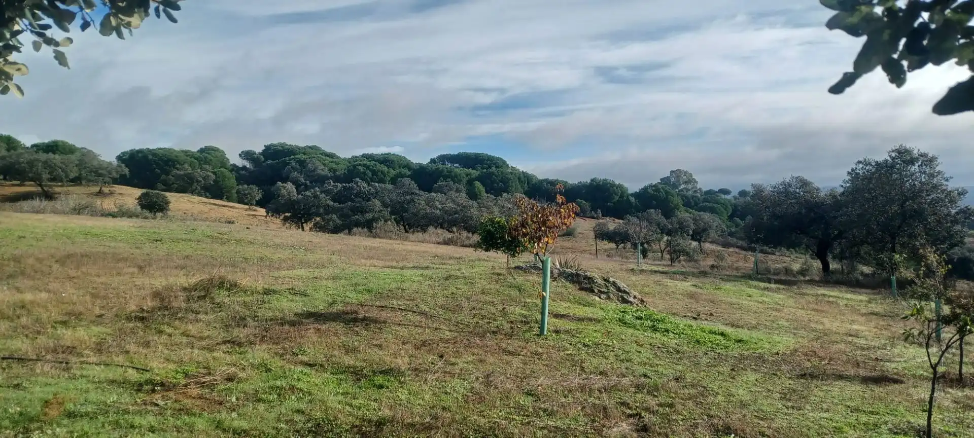Terreni e lotti in vendita a Cazalla de la Sierra, imagen 54