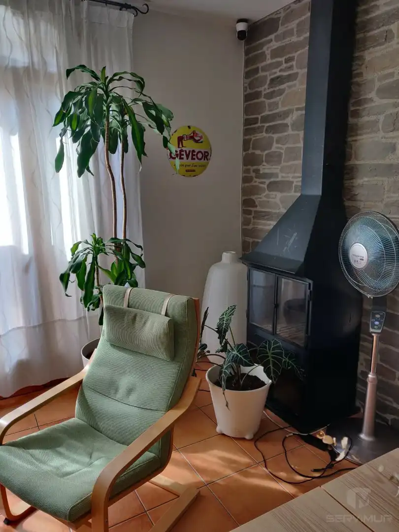 Sala d'estar de Casa o xalet en venda en La Vall d'en Bas amb Terrassa