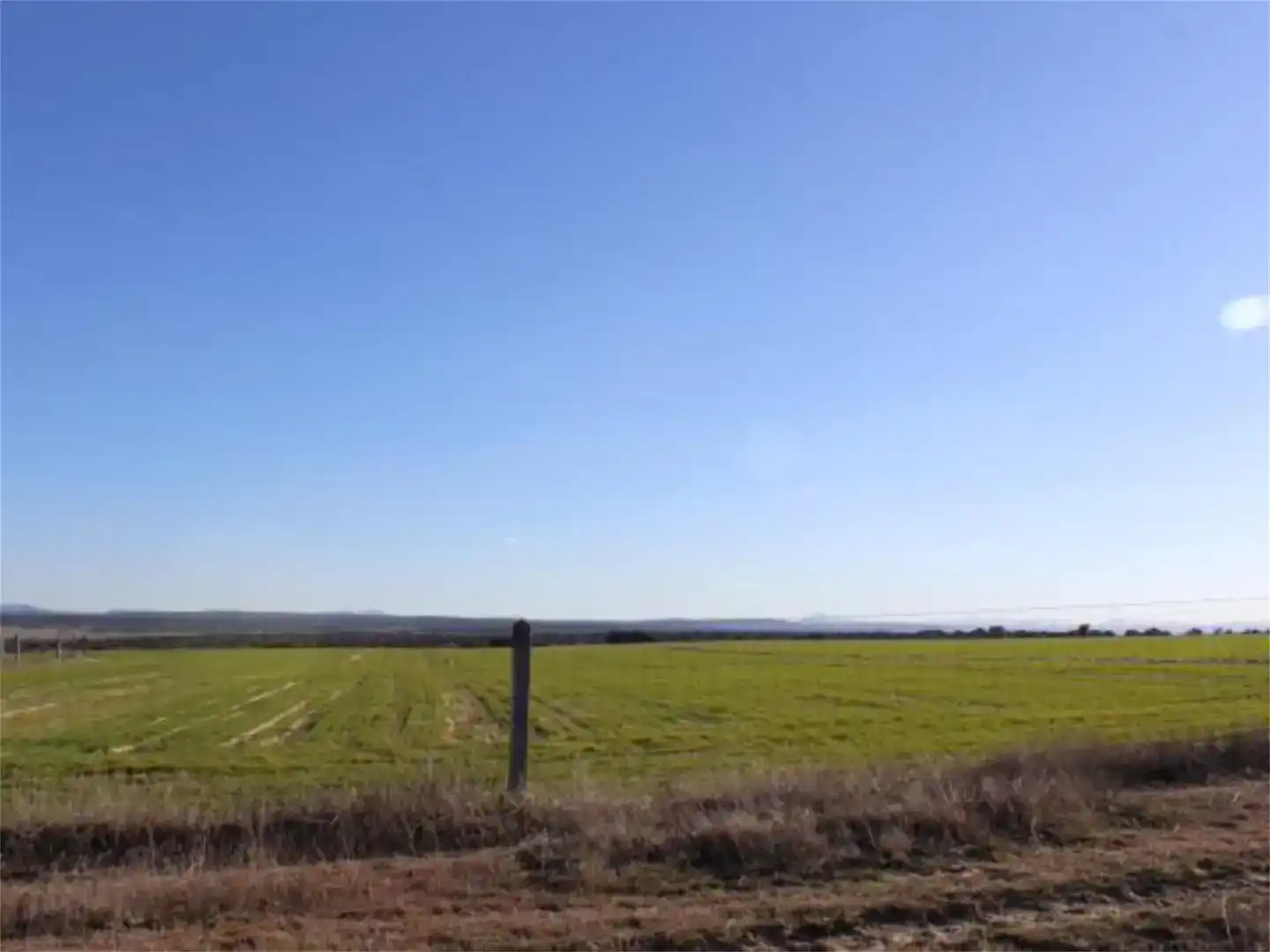Land for sale in Carpio de Azaba